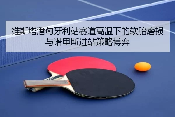 维斯塔潘匈牙利站赛道高温下的软胎磨损与诺里斯进站策略博弈